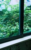 Туры в отель 7 Days Premium Hotel (Chongqing Tongliang District Government Pedestrian Street)