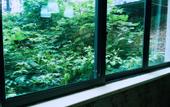 Туры в отель 7 Days Premium Hotel (Chongqing Tongliang District Government Pedestrian Street)