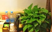 Туры в отель 7 Days Premium Hotel (Chongqing Tongliang District Government Pedestrian Street)