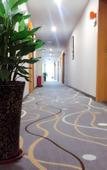 Туры в отель 7 Days Premium Hotel (Chongqing Tongliang District Government Pedestrian Street)