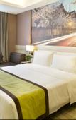 Туры в отель Atour Hotel Nanjing Zongtongfu