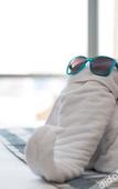 Туры в отель Fliport Garden Hotel