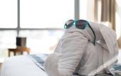 Туры в отель Fliport Garden Hotel