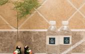 Туры в отель Fliport Garden Hotel