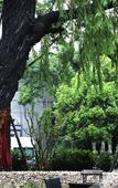 Туры в отель Fliport Garden Hotel