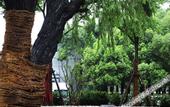 Туры в отель Fliport Garden Hotel