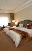 Туры в отель Cezanne Manor Hotel & Resort