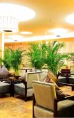Туры в отель Chengdu x Langzhong Hotel (Chengdu Railway Station East Station Yinghui Road Subway Station Store)