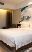 Туры в отель Atour Hotel (Hefei Hi-tech Zone Dashushan Park)