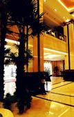 Туры в отель Tongda International Hotel