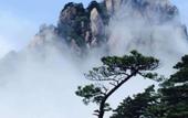 Туры в отель Yupinglou Hotel