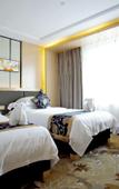 Туры в отель Jiulong International Hotel (Wuhan Yellow Crane TowerRailway Station)