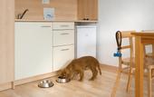 Туры в отель Les Dalies Apartamentos