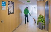 Туры в отель Les Dalies Apartamentos