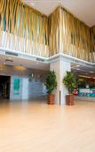 Туры в отель Shanshui Trends Hotel(Zhaoqing Sports CenterSeven Star Crags Scenic Area Branch)