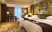 Туры в отель Jinlong International Hotel