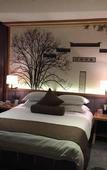 Туры в отель Baixing Hotel