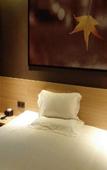 Туры в отель IU Hotel (Chongqing Hechuan Ruishan Road Ta'ermen Square)