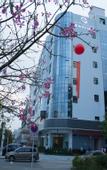 Туры в отель Qian Hai Holiday Hotel