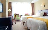 Туры в отель Vienna Hotel (Huadu Shiling Leather City Store)