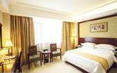 Туры в отель Vienna Hotel (Huadu Shiling Leather City Store)