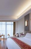 Туры в отель Vienna International Hotel (Chengdu Global Center New Convention & Exhibition)