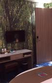 Туры в отель Pai Hotel Nanjing Maigaoqiao Metro Station
