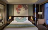 Туры в отель the Star Hotel