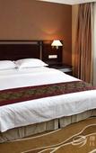 Туры в отель Celeste Palace Hotel