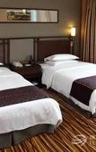 Туры в отель Celeste Palace Hotel