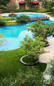 Туры в отель Chateau Star River Xi'an