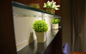 Туры в отель Yuanda Hotel (Changchun Yuanda Street Beihu Branch)