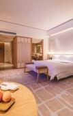 Туры в отель Le Meridien Emei Mountain Resort