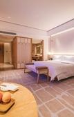 Туры в отель Le Meridien Emei Mountain Resort