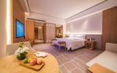 Туры в отель Le Meridien Emei Mountain Resort