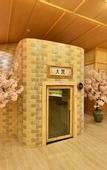 Туры в отель Gokurakuyu Hot Spring Hotel Shanghai Chuansha