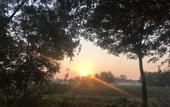 Туры в отель Manhong Homestay Characteristic Homestay