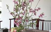 Туры в отель Manhong Homestay Characteristic Homestay