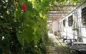 Туры в отель Manhong Homestay Characteristic Homestay