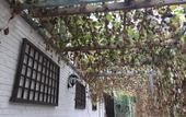 Туры в отель Manhong Homestay Characteristic Homestay