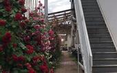 Туры в отель Manhong Homestay Characteristic Homestay