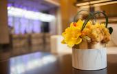 Туры в отель Mehood Lestie Hotel Foshan Lecong Tianyou City