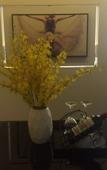 Туры в отель Ximan Qingya Hotel (Zhengzhou South Third Ring Road Zhongzhou Avenue)