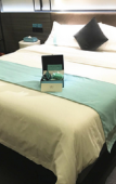 Туры в отель WUZHEN RUJIARUIBO·YUN HOTEL