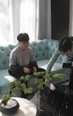 Туры в отель WUZHEN RUJIARUIBO·YUN HOTEL