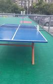 Туры в отель Xana Hotelle (Chengdu Longhu Shuxin Tianjie Industrial College)