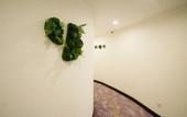 Туры в отель Shanghai Maritime Phoenix theme Hotel