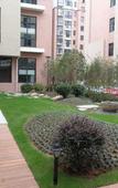 Туры в отель Yuanxiang Hotel