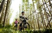 Туры в отель Club Med Joyview Anji