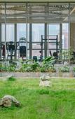 Туры в отель Huawise Hotel